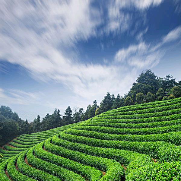 河北傅景琰文化传播有限公司