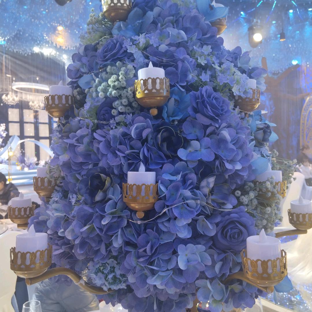 蒂花秀