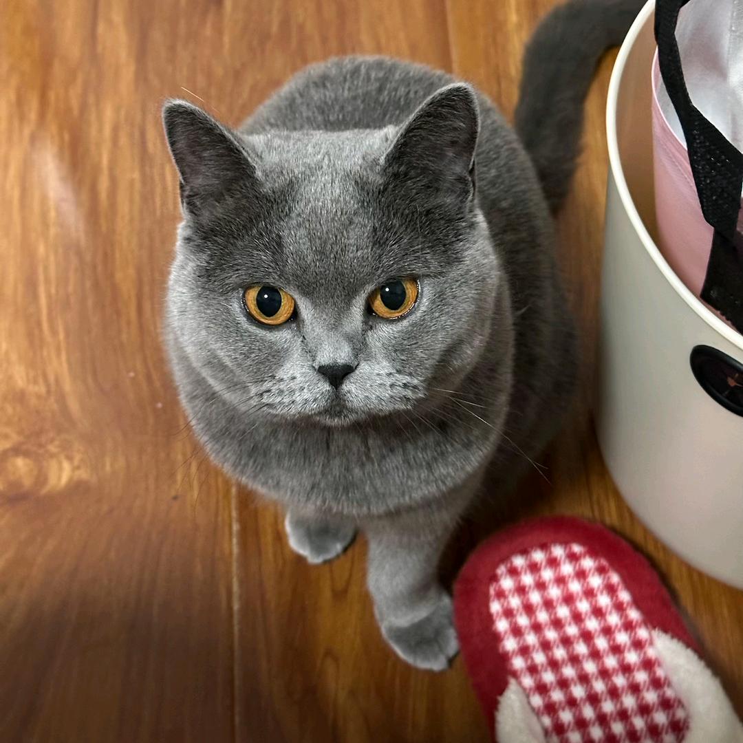 运气爆棚无敌大魔王