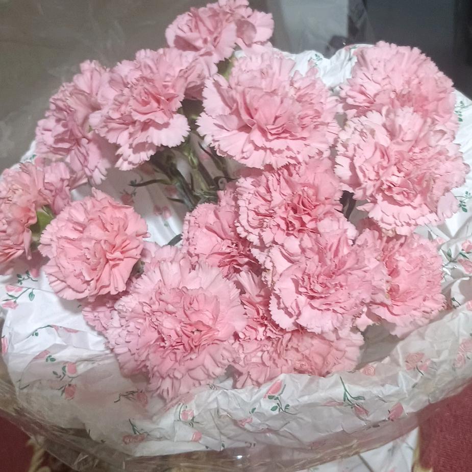 康养熏蒸馆