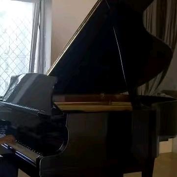 青年男高音苏豆豆