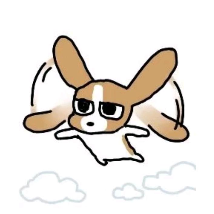 格丽乔
