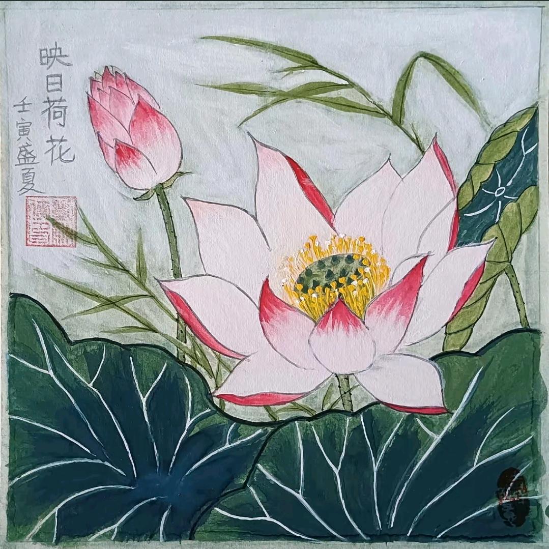 夏荷2024