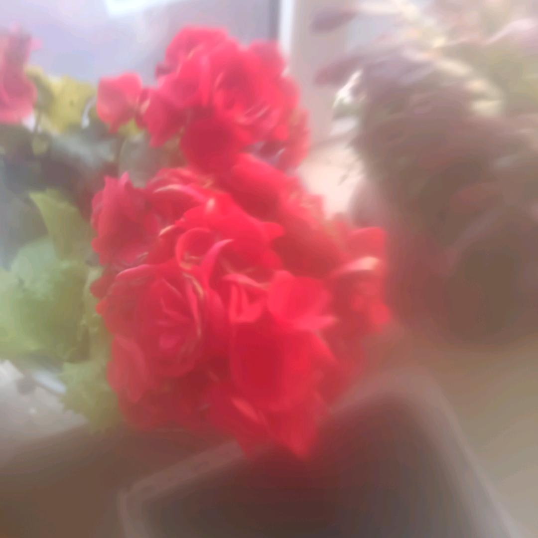 用户7861966879976