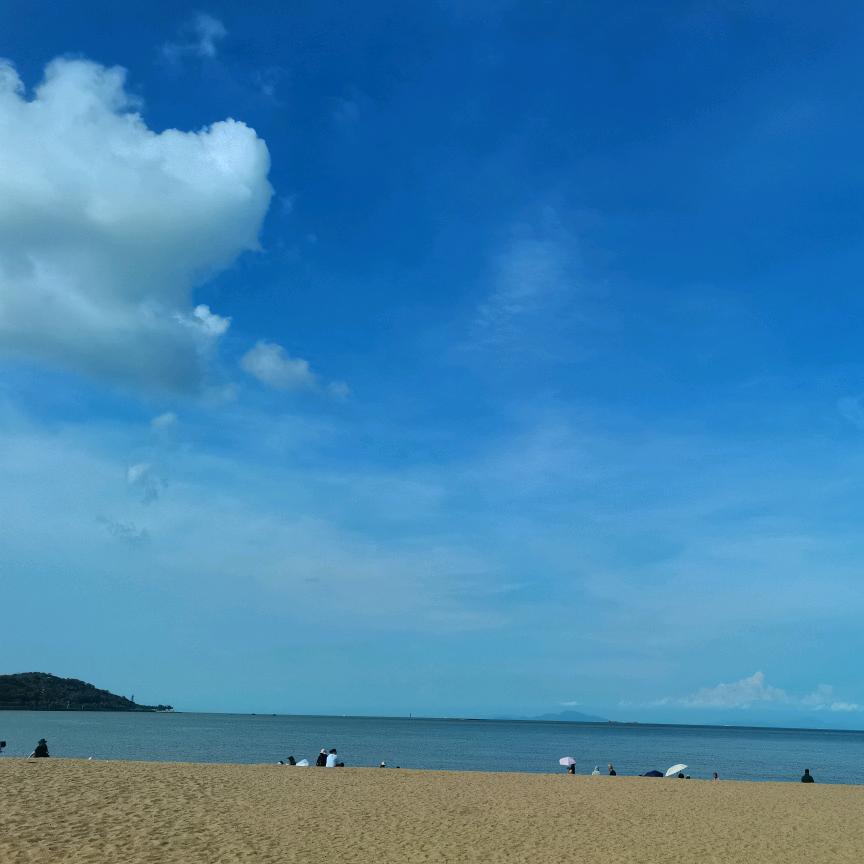 鑫悦食品调味店