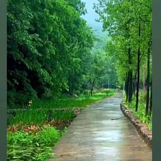 鸟语花香醉人间