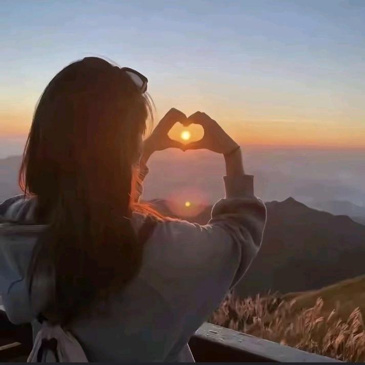 油菜花《橱窗有好物》