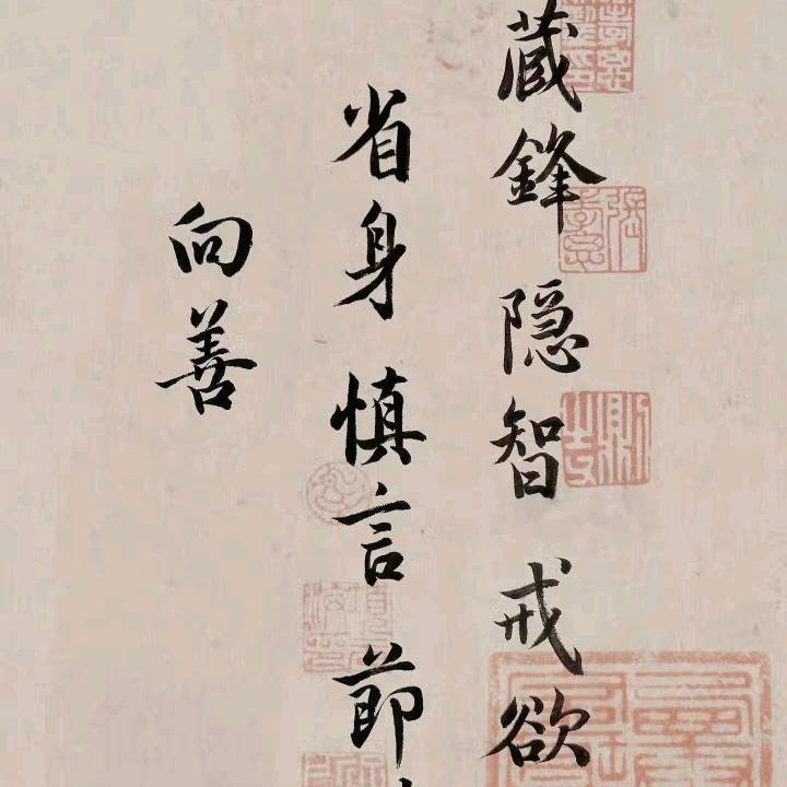 糖小宝