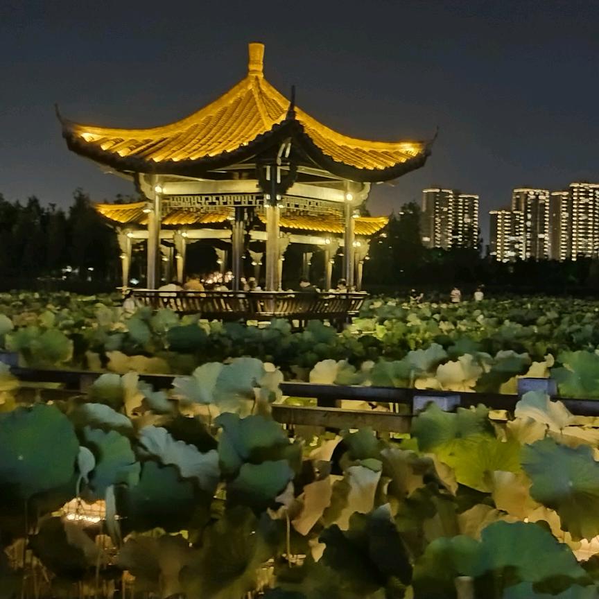 宁缺毋滥