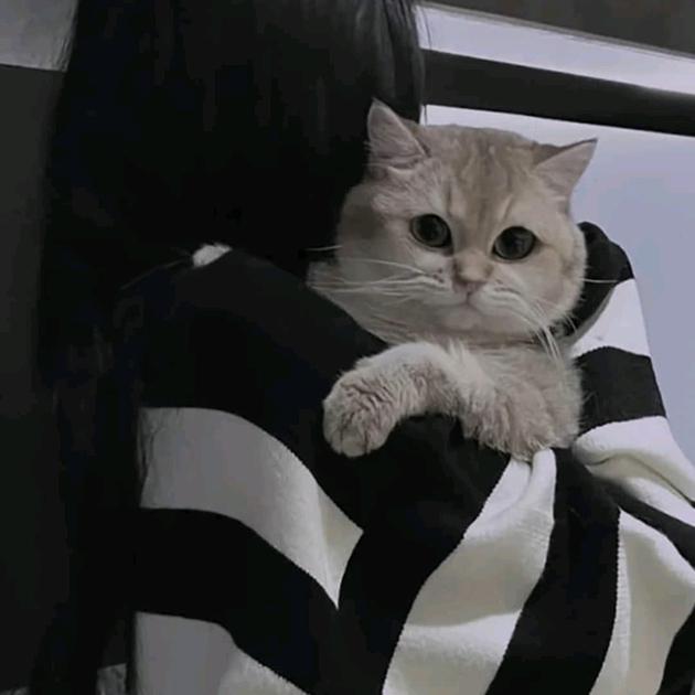 ᭄🍃随: 💓᭄ཽ࿆