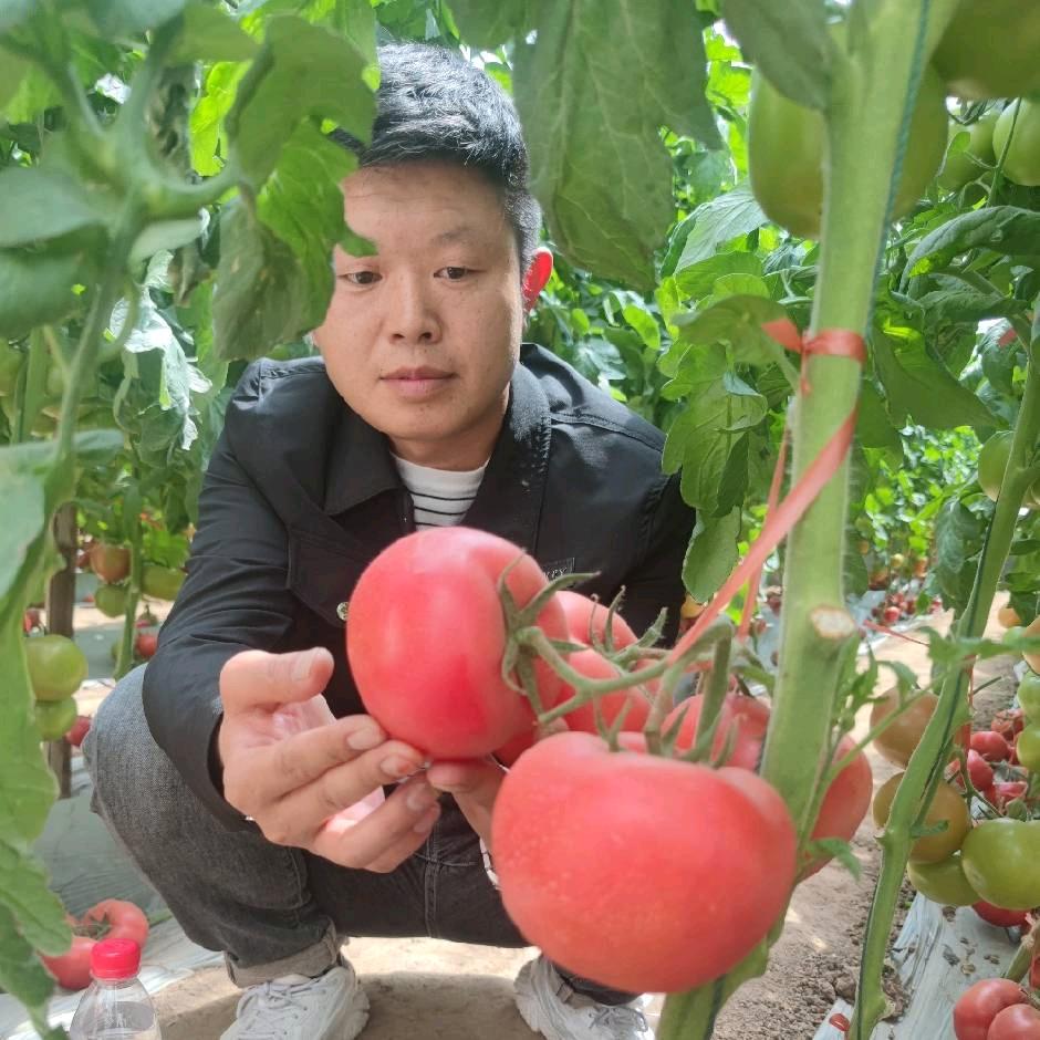 曹小曹助农行动