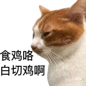 当当然然
