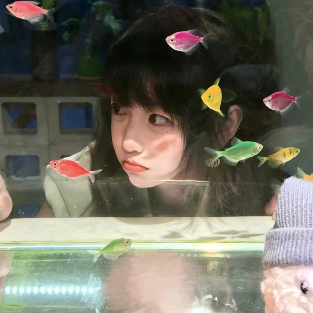 🎧 ı||ııı||ı|