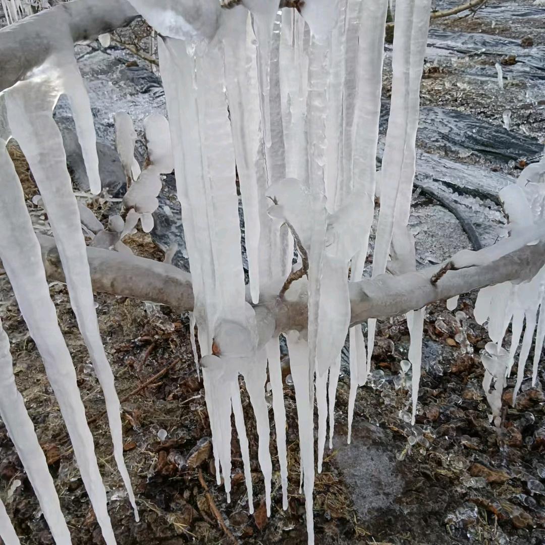 振伟冷饮批发配送中心
