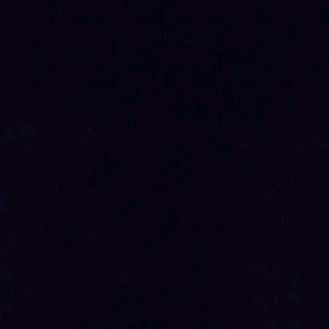 ＼＼\\٩( 'ω' )و //／／