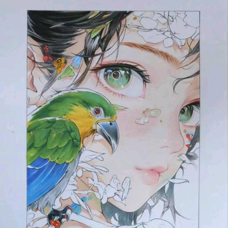 沐林杉