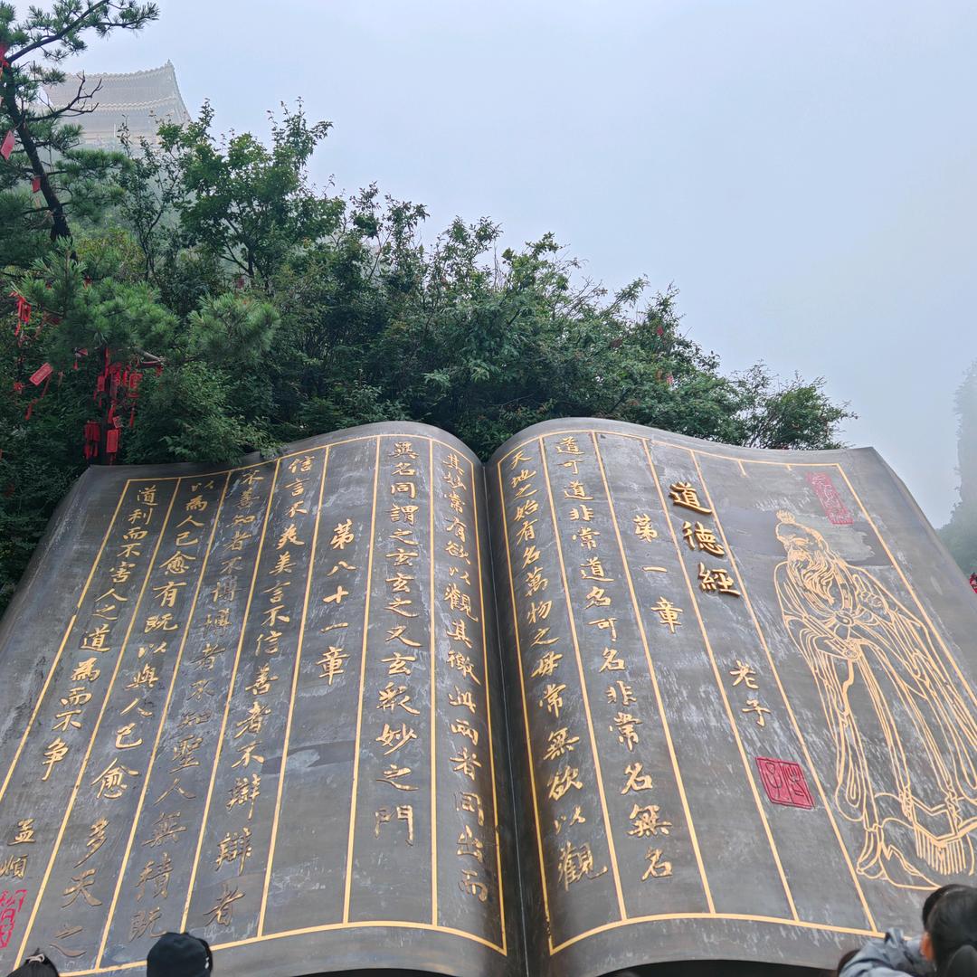 热爱生活的鱼儿