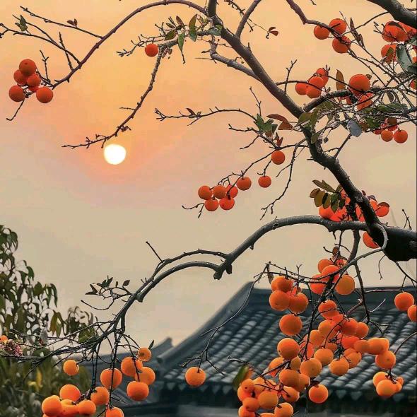 🌈🌈🌈🌈彩虹