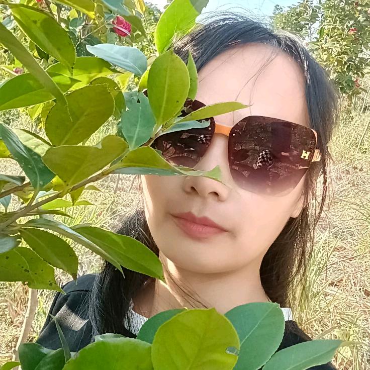 小六（首播筹备中）