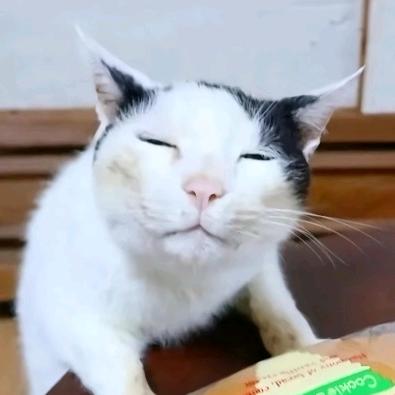 o^o玥