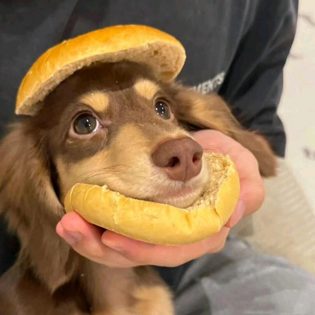 哇啦哇啦