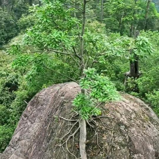 世界无奇