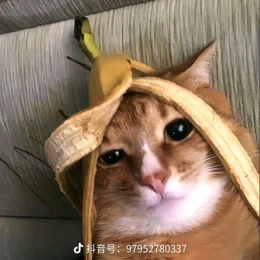 一日之寄在于晨