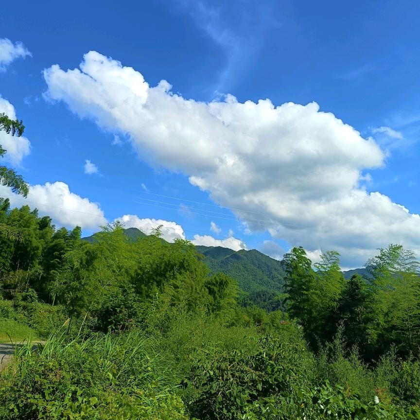 钟章就