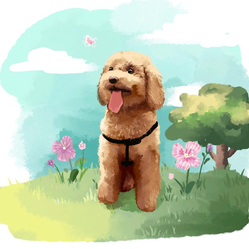 一间小屋宠物零食店