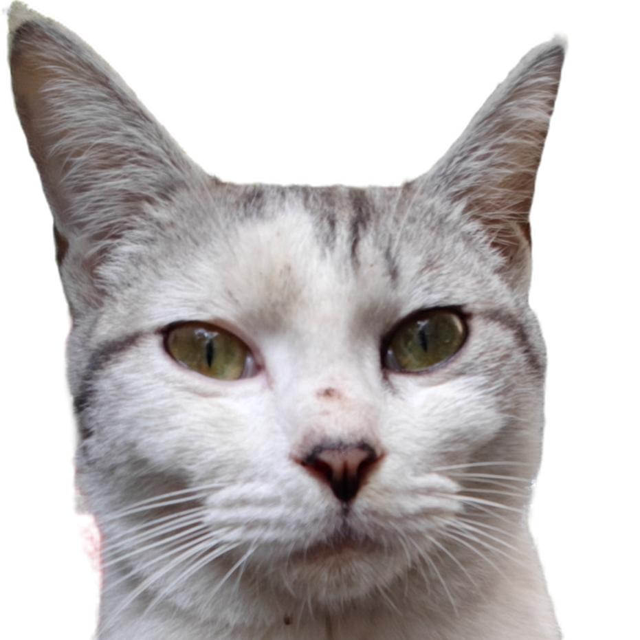 孤独是人生的常态