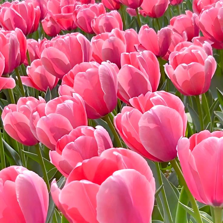 珍惜未来，珍惜现在