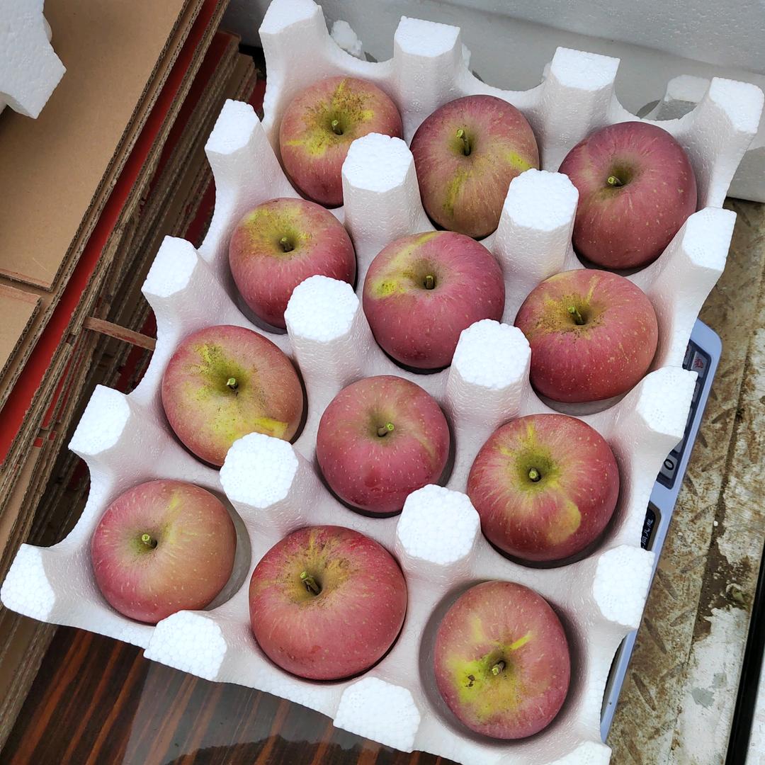 祯祯妈（记录生活）