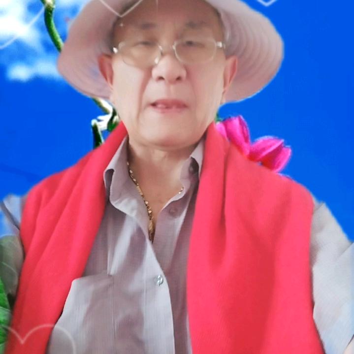 回头是岸上午九点开播