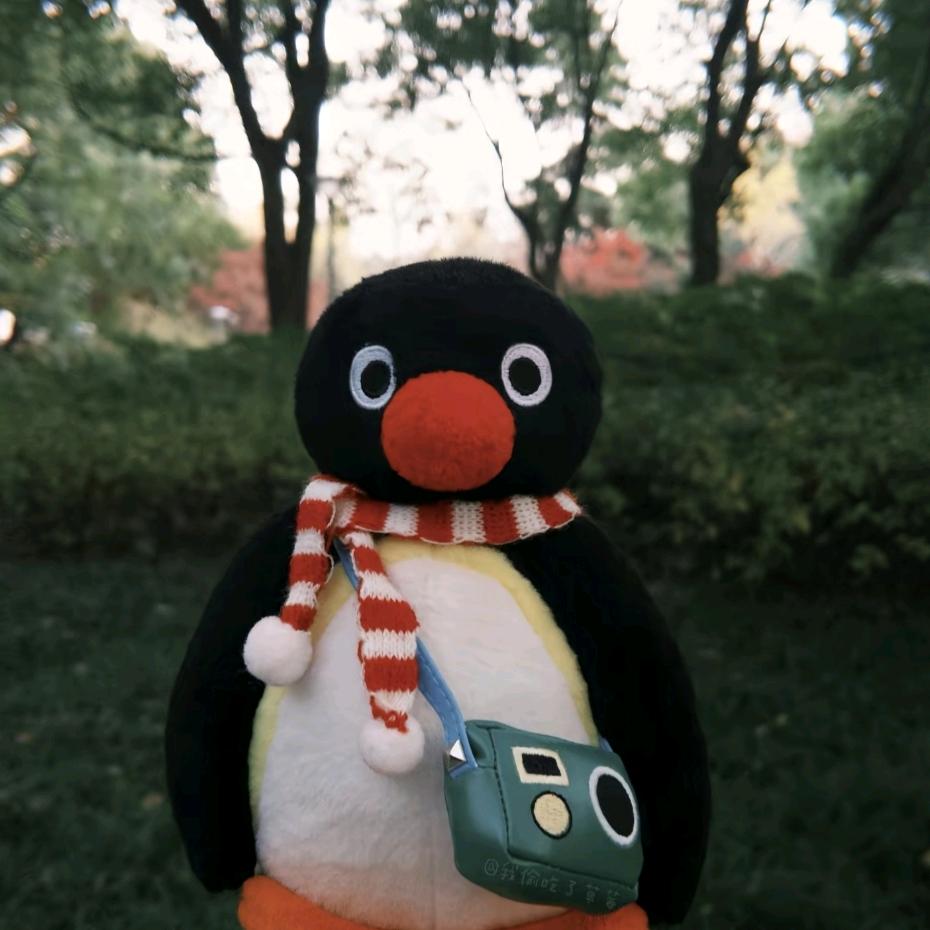 森屿暮