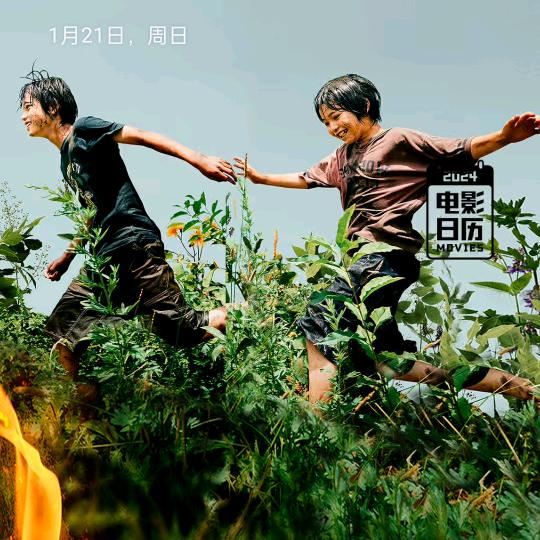 比刀郎还冲动
