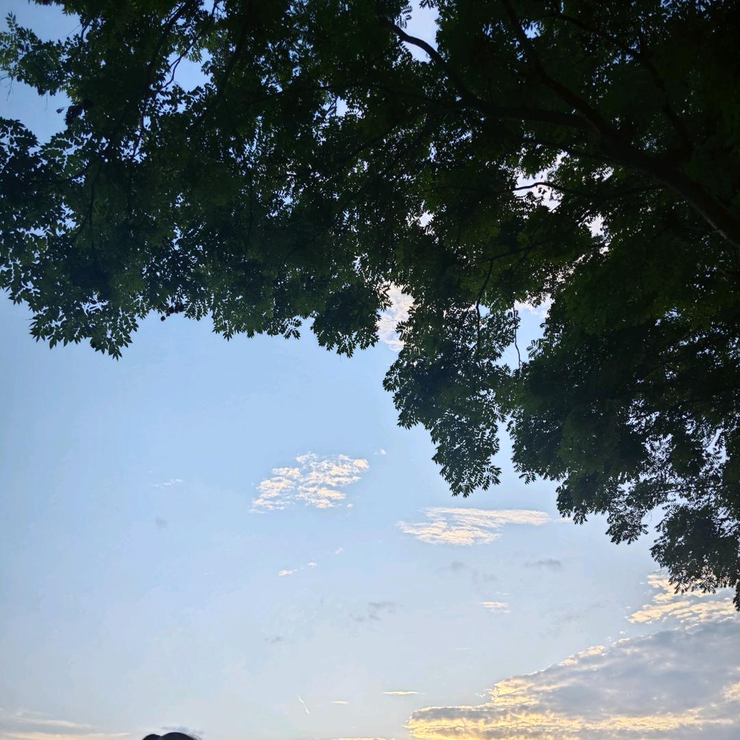 迈一大步是我太天真