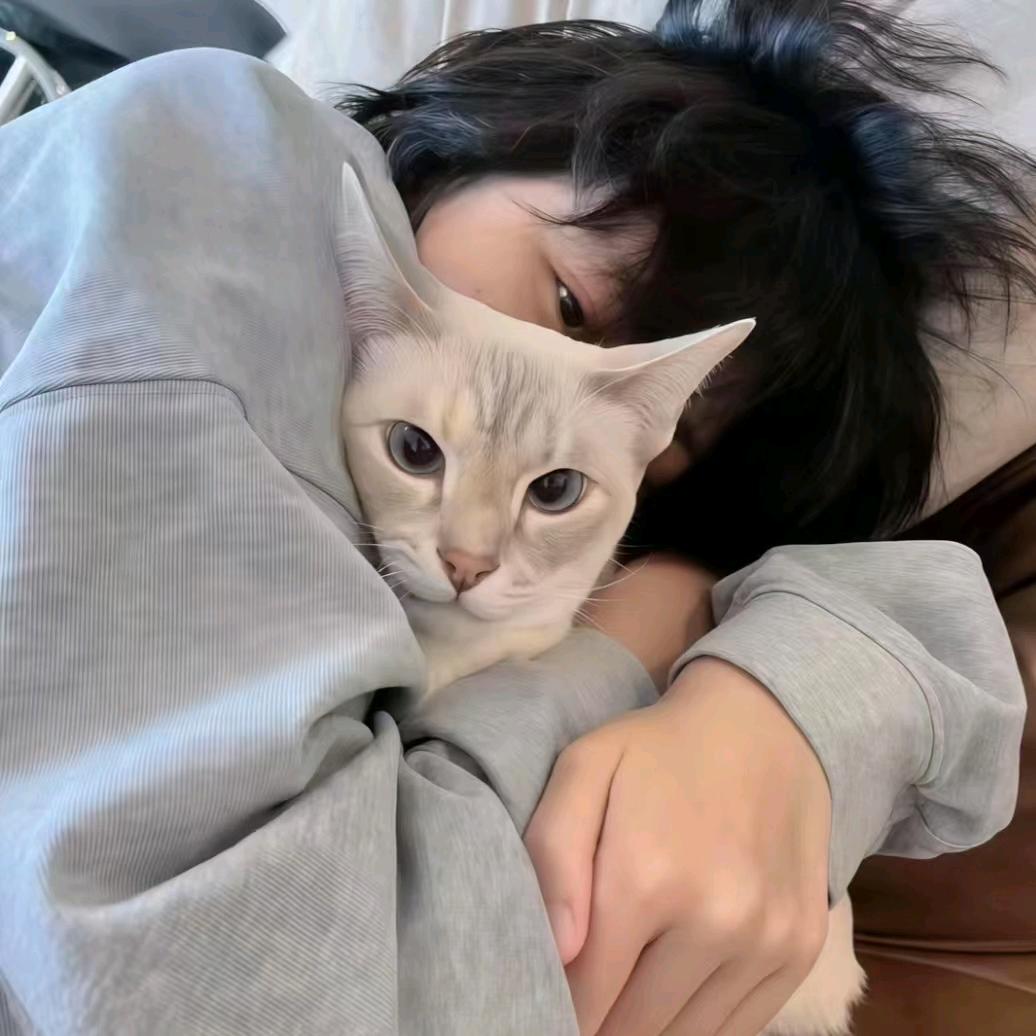凌晨说晚安.