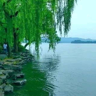 顺其自然。🌹🌹🌹