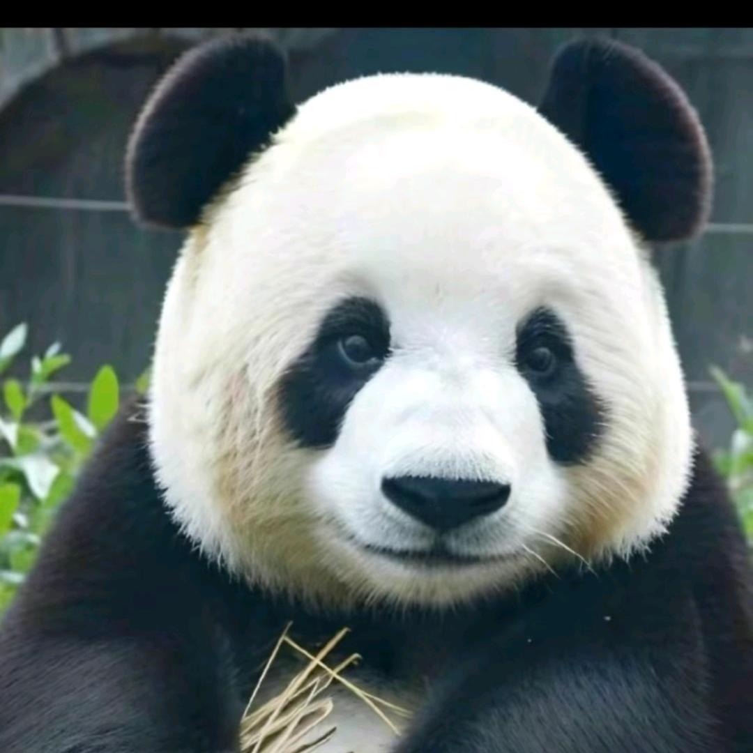 美好时光✌