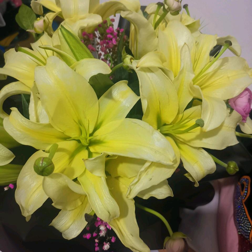 今生不见来生不欠👊👊