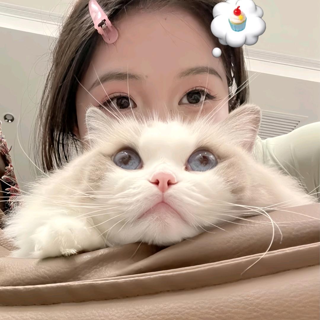 梁ℒ𝒾𝒶𝓃ℊ🌟