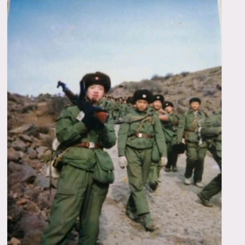 爱李不理