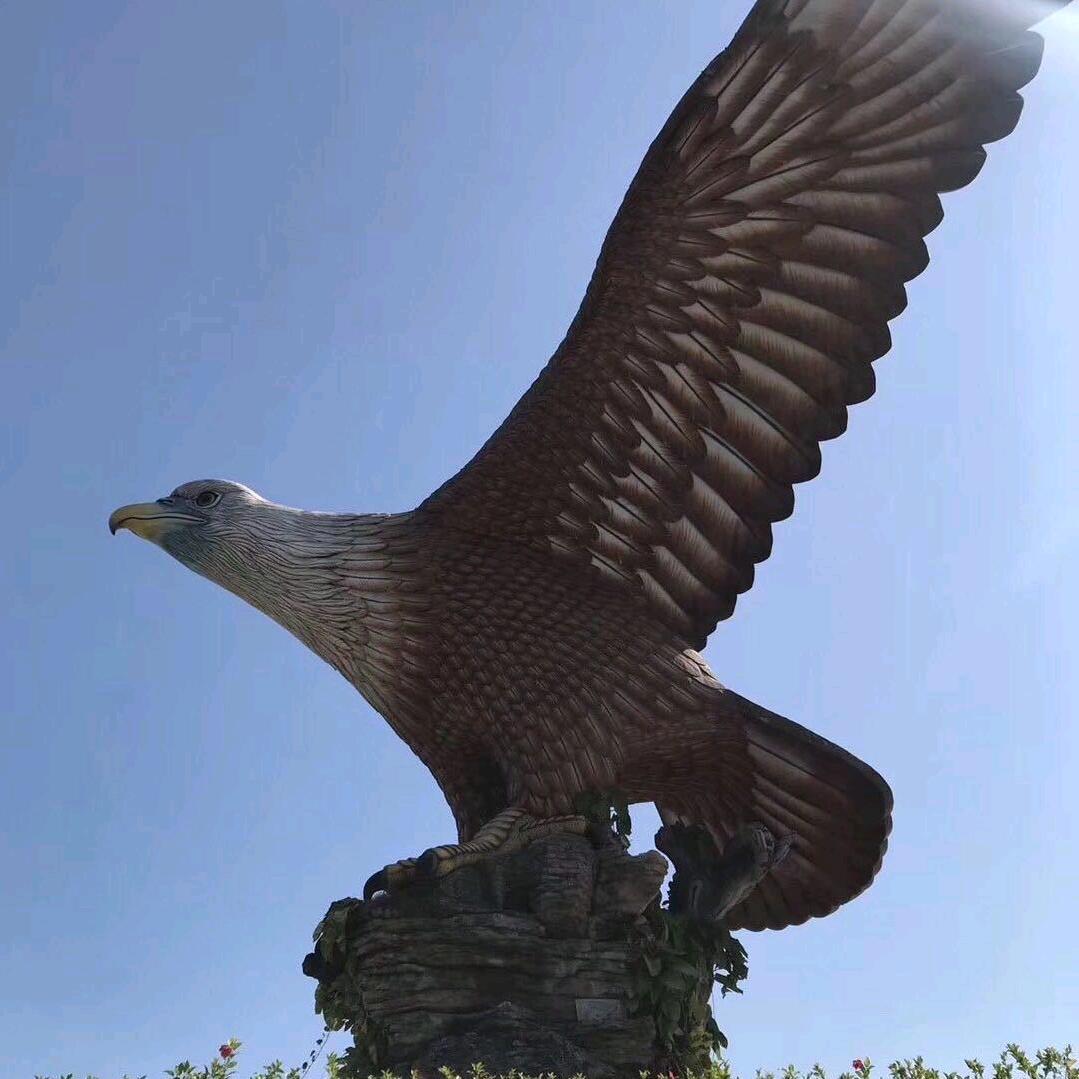 大头鱼