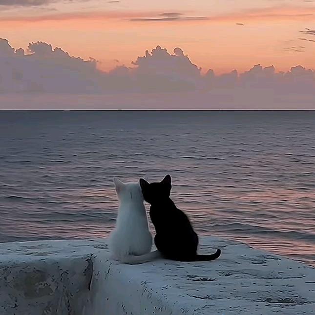 𓀚ℯ⃝領 悟𐂂🧽