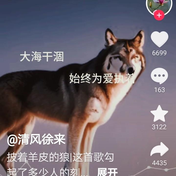 狼～王