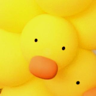 蛙哇我要发财了～