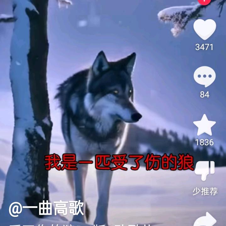 无惧风雨，迎难而上