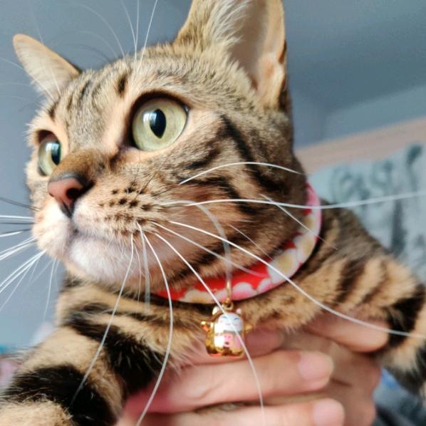 飞宇✺◟(∗❛ัᴗ❛ั∗)◞✺