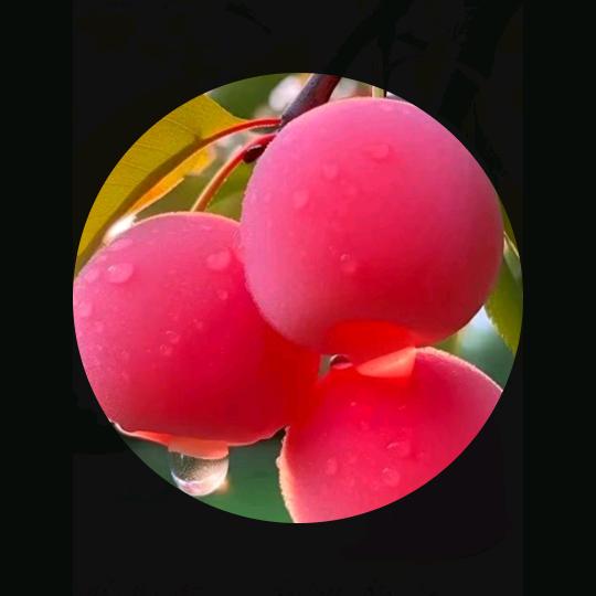 平安🍎是福