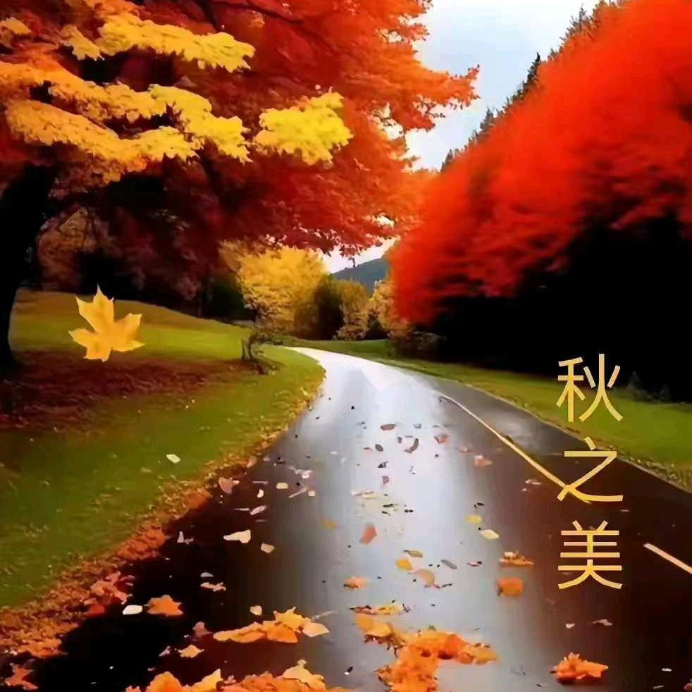 梦想成真